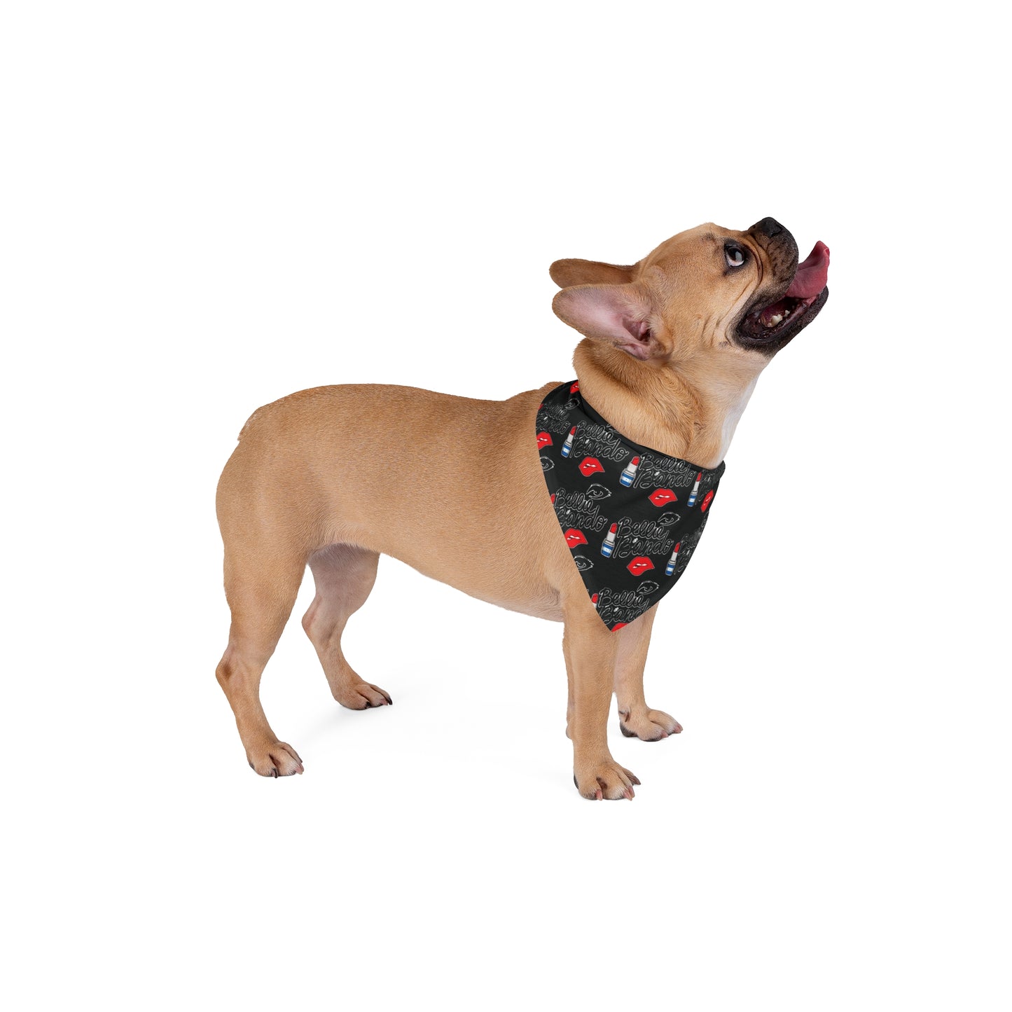 BELLIE BANDO Pet Bandana