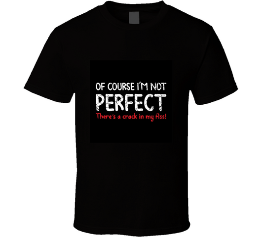 Not Perfect ..  T Shirt