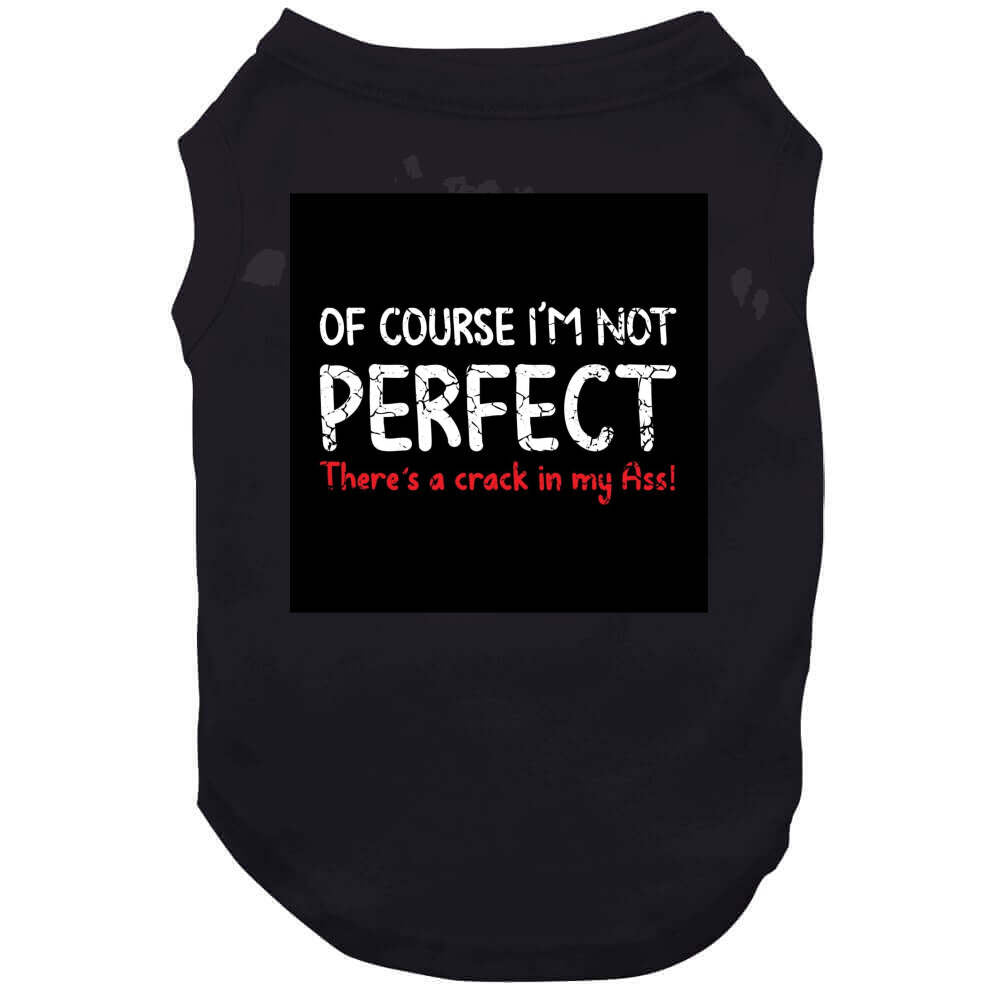 Not Perfect ..  T Shirt