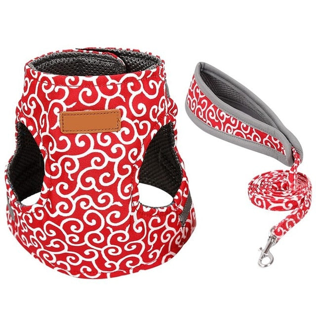 THEHIGHWAYCONNECTION Pet / Dog Cat Vest Outdoor Travel Harness Leash Set